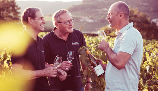 Domaine Auvigue wine producer